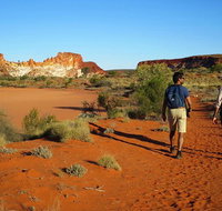 Chambers Pillar and Rainbow Valley 1 Day 4WD Tour - Broome Tourism