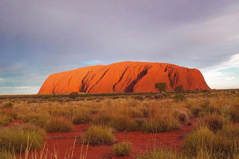 Uluru (Ayers Rock) Sunset Tour - Broome Tourism 6