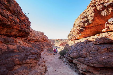 Coach Transfer From Kings Canyon To Alice Springs - Broome Tourism 7