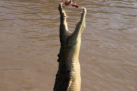 Litchfield Dreams 1 Day National Park Waterfall Swimming & Jumping Croc Cruise - Broome Tourism 1