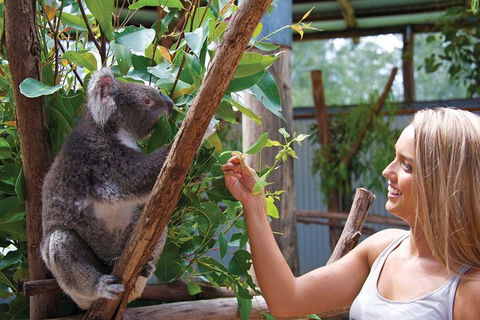 Private Guided Tour: Blue Mountains Tour From Sydney - Broome Tourism 8