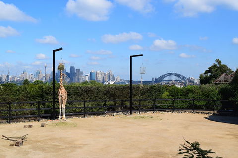 Sydney Taronga Zoo General Entry Ticket - Broome Tourism 3