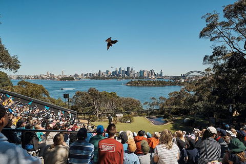 Sydney Taronga Zoo General Entry Ticket - Broome Tourism 27