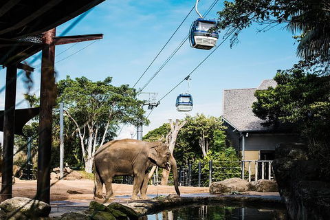 Sydney Taronga Zoo General Entry Ticket And Wild Australia Experience - Broome Tourism 0