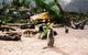 Sydney Taronga Zoo General Entry Ticket And Wild Australia Experience - thumb 10