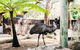 Sydney Taronga Zoo General Entry Ticket And Wild Australia Experience - thumb 1