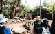 Sydney Taronga Zoo General Entry Ticket And Wild Australia Experience - thumb 8