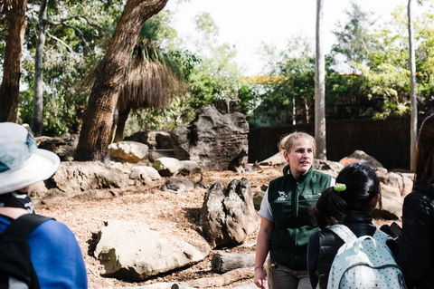 Sydney Taronga Zoo General Entry Ticket And Wild Australia Experience - Broome Tourism 8