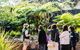 Sydney Taronga Zoo General Entry Ticket And Wild Australia Experience - thumb 14