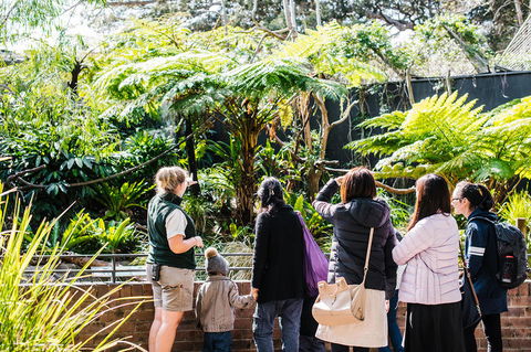 Sydney Taronga Zoo General Entry Ticket And Wild Australia Experience - Broome Tourism 14