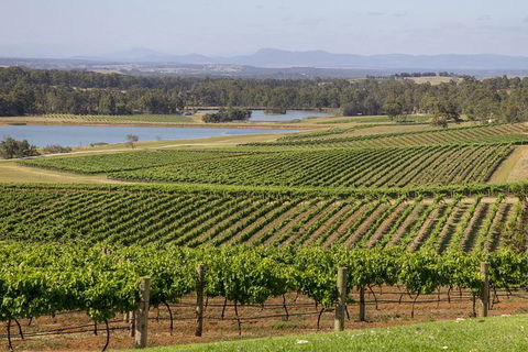 Hunter Valley Wine Tour From Sydney With Lunch And 3 Cellar Door Tastings - Broome Tourism 1