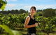 Hunter Valley Wine Tour From Sydney With Lunch And 3 Cellar Door Tastings - thumb 6