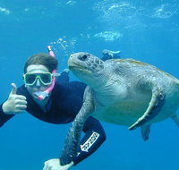 3-Hour Sea Turtle Snorkeling Experience in Byron Bay - Broome Tourism