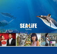 Sydney Attractions Pass SEA LIFE Aquarium Sydney Tower Eye WILD LIFE Zoo and Madame Tussauds - Broome Tourism