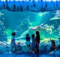 SEA LIFE Sydney Aquarium Entrance Ticket - Broome Tourism