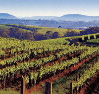 Private Day Trip to Hunter Valley from Sydney with Pickup - Broome Tourism