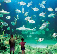 Sydney Pass SEA LIFE Aquarium Sydney Tower Eye WILD LIFE Sydney Sydney Harbour Cruise and Madame Tussauds - Broome Tourism