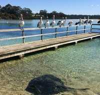 The Eurobodalla Experience Full day private tour including lunch - Broome Tourism