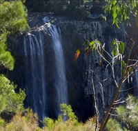 Byron Bay Hinterland Tour Including Rainforest Walk to Minyon Falls - Broome Tourism