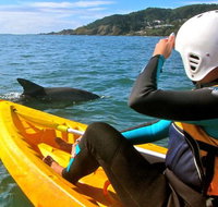 Byron Bay Combo Hinterland Tour Including Minyon Falls and Kayaking with Dolphins - Broome Tourism