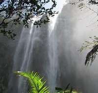 Minyon Falls Rainforest Walk - Broome Tourism