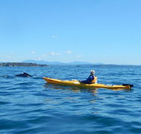 Whale Watching by Sea Kayak in Batemans Bay - Broome Tourism