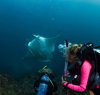 5-Hour Byron Bay Introductory Scuba Diving Tour - Broome Tourism