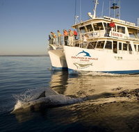 Jervis Bay Dolphin Watch Cruise - Broome Tourism