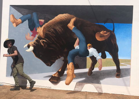 Big Bull Mural - Broome Tourism 0