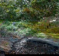 Browns Forest Loop Trail - Broome Tourism