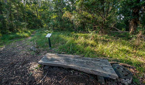Browns Forest Loop Trail - Broome Tourism 0
