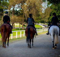 Centennial Stables