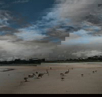 Hardwicke Bay - Broome Tourism