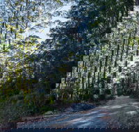 Hastings Forest Way Touring Route - Broome Tourism