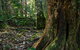 Hidden Treasure Track - thumb 0