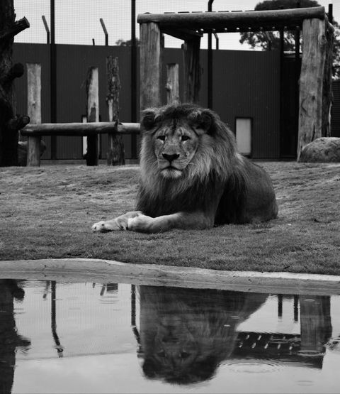 Hunter Valley Zoo - Broome Tourism 0