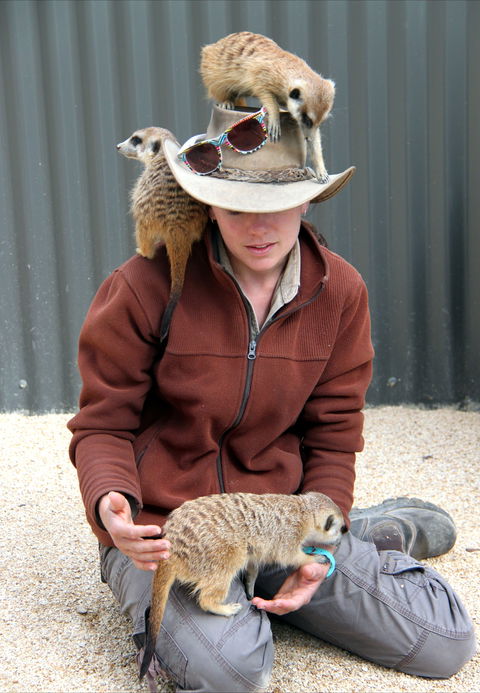 Hunter Valley Zoo - Broome Tourism 2