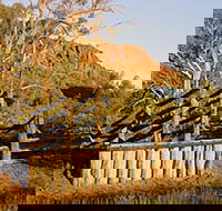Illamurta Springs Conservation Reserve - Broome Tourism