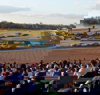 Ipswich Motorsport Precinct - Broome Tourism