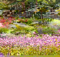 Jurassic Garden AR Experience - Broome Tourism