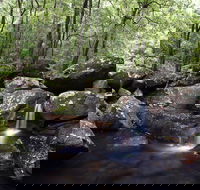 Kangaroo River - Broome Tourism