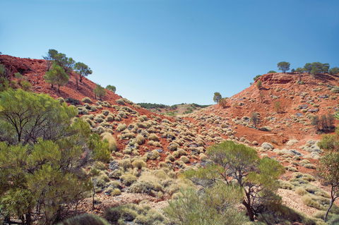 Lark Quarry Conservation Park - Broome Tourism 0
