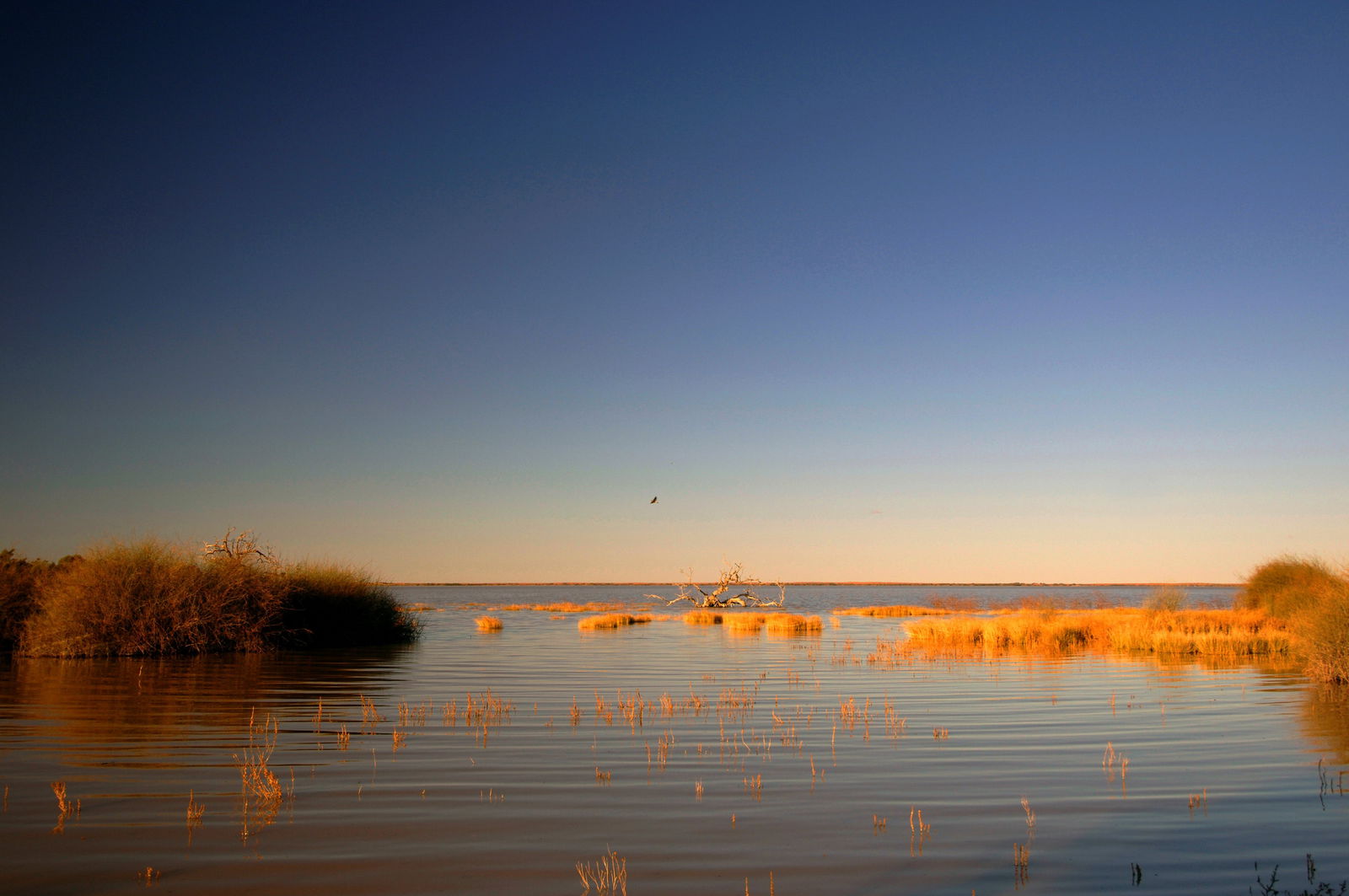  Broome Tourism