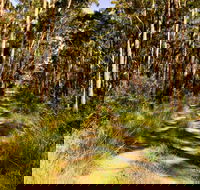Mining Road Fire Trail Old Gibber Road Rire Trail - Broome Tourism
