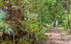 Murramarang National Park - thumb 1