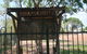 Palmerston Cemetery - thumb 0