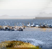 Portarlington - Broome Tourism