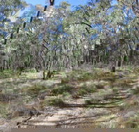 Reef Hills State Park - Broome Tourism