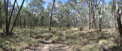 Reef Hills State Park - Broome Tourism 0
