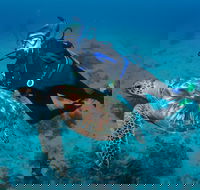 Second Reef Dive Site - Broome Tourism